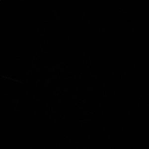 Meet your Posher, Ellen